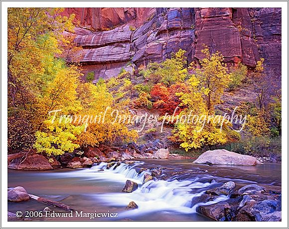 450169---Fall foliage and the Virgin River view 2